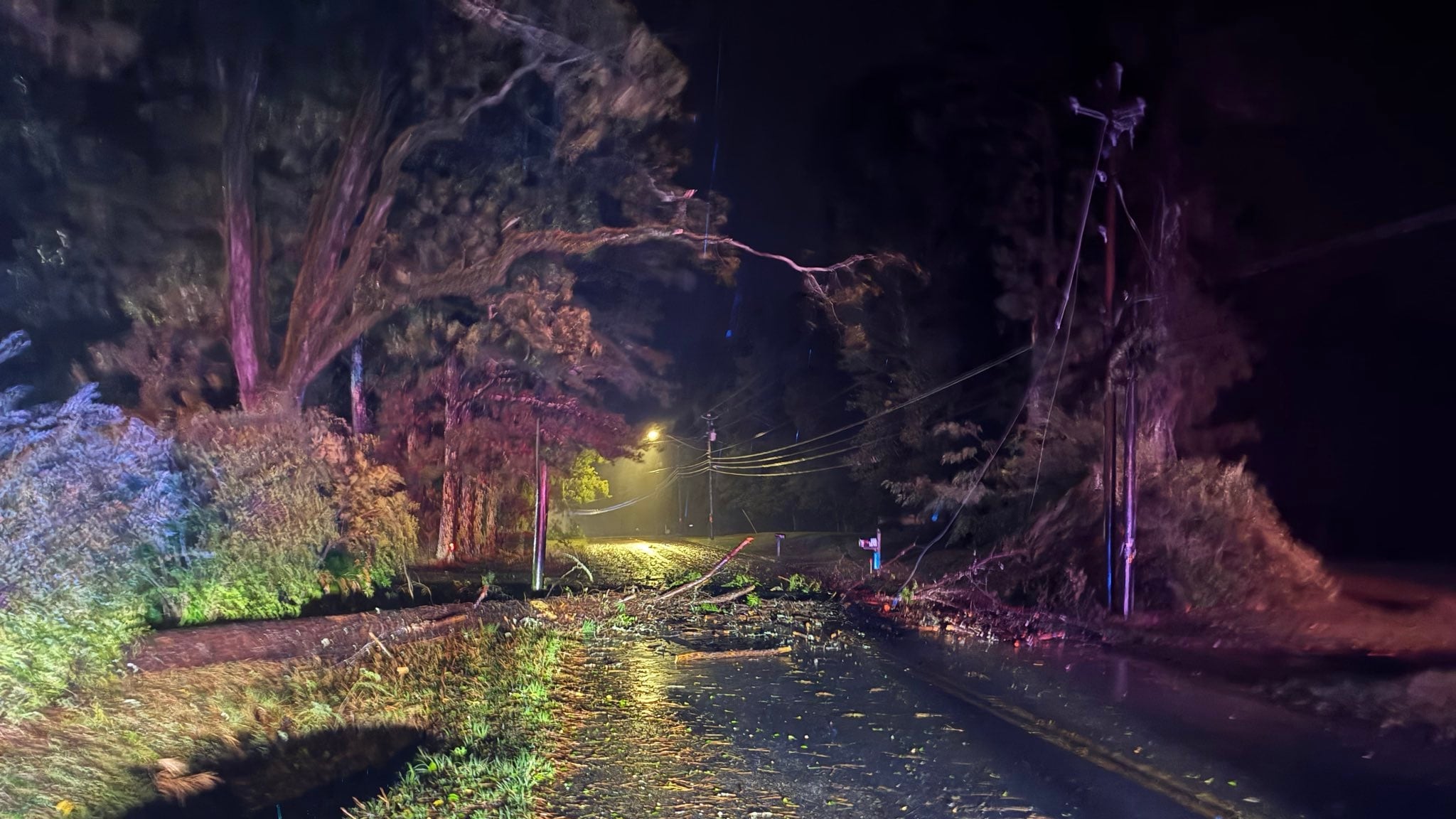 Alabama Sheriff’s Deputy Injured By Falling Tree Responding to Crash Scene Amid Storm Damage