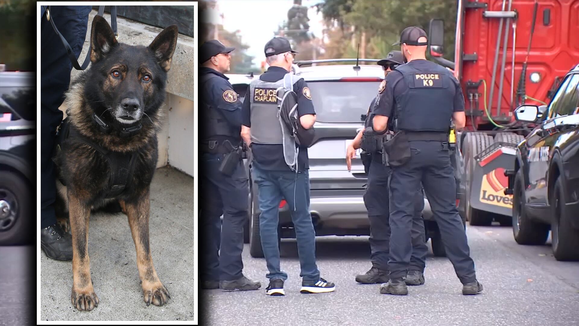 Suspect Wanted for Gresham Murder Fatally Shot During Portland Arrest Attempt; K9 Killed