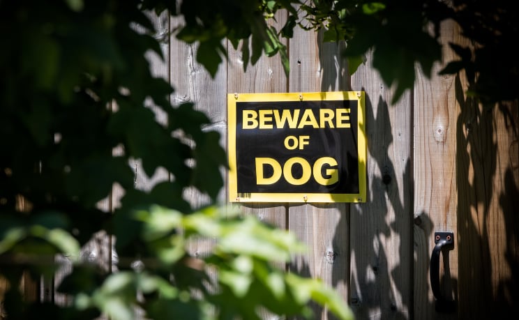 Boy Dies After Dog Attack in Sulligent, Alabama