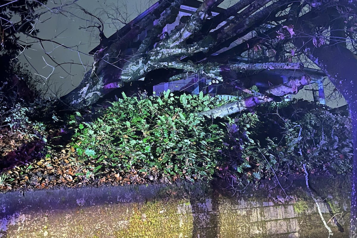 Downed power lines spark multiple fires in northeast Portland