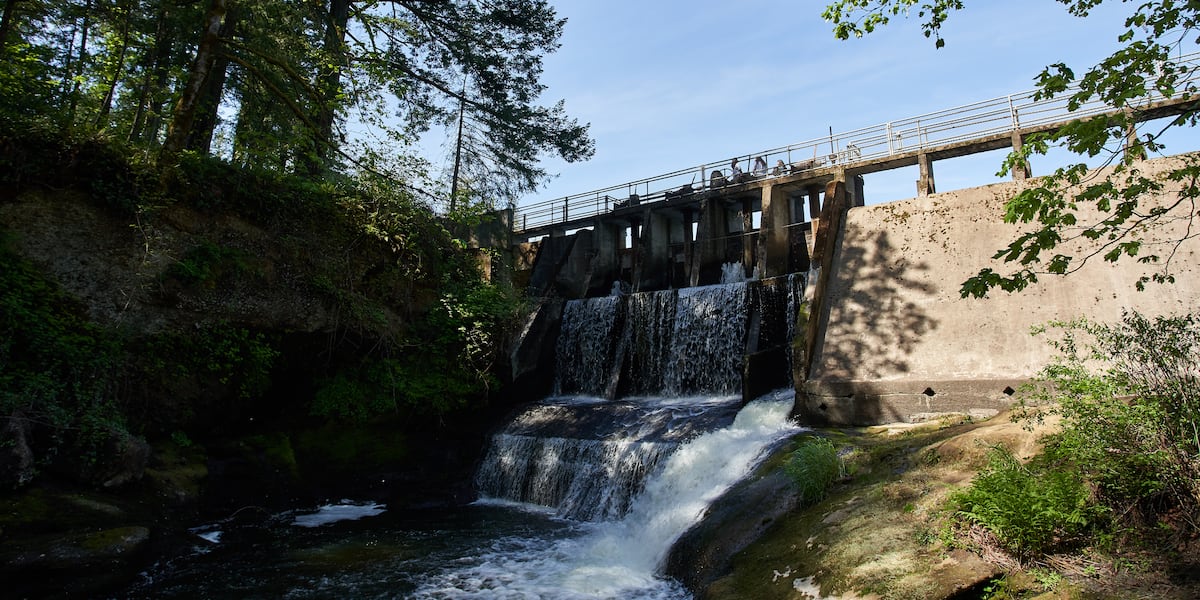 19-year-old from Camas drowns in Round Lake at Lacamas Park