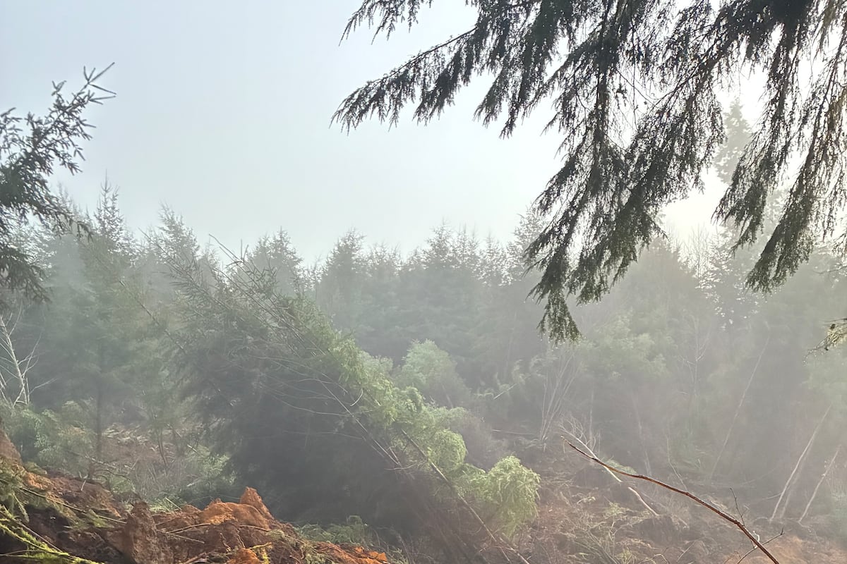 preloaded gallery image