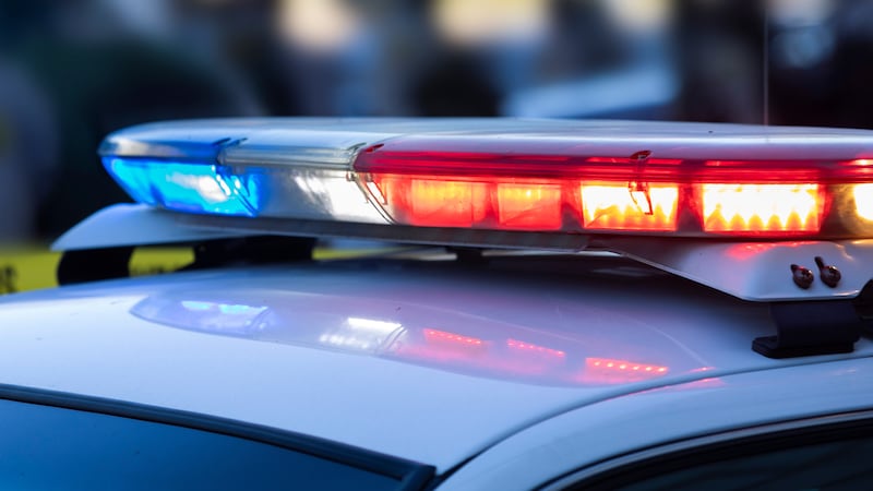 FILE - Police lights.