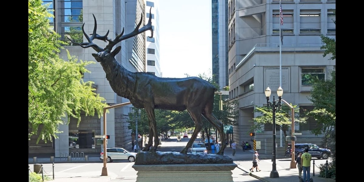 6Z5Z5ZMSEZG6FG6U3RIG3ZYJ2A.jpg?auth=1739