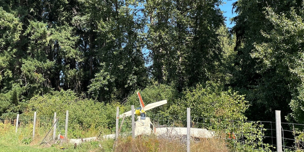 Coverage image for: 2 victims identified following deadly plane crash in Hood River County