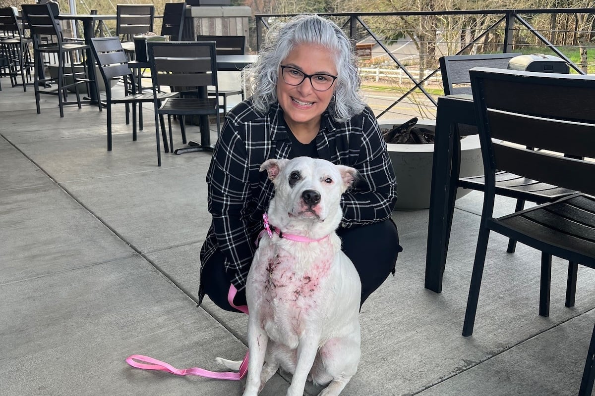 An injured dog that was rescued from a water retention pond on Saturday in Happy Valley has...