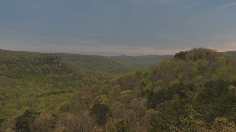 Evacuation orders lowered as crews get control of fire near Canby