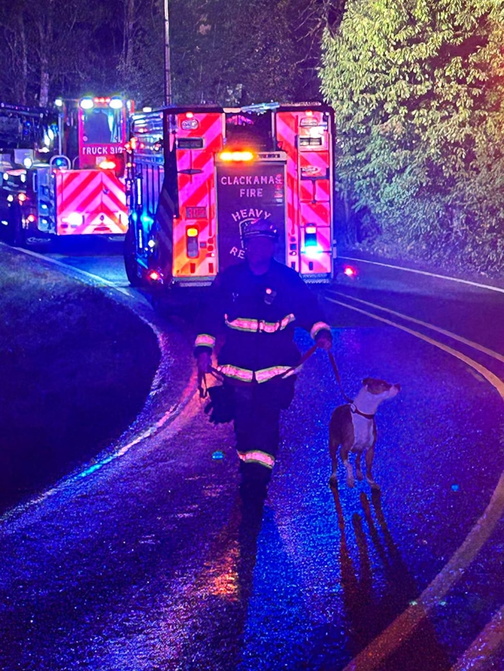 Firefighters with animals rescued after crash into creek on Sept. 3, 2026