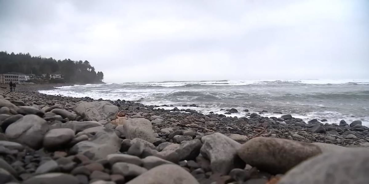 ‘Suspected naval flare’ washes up on Seaside beach ‘Suspected naval flare’ washes up on Seaside beach