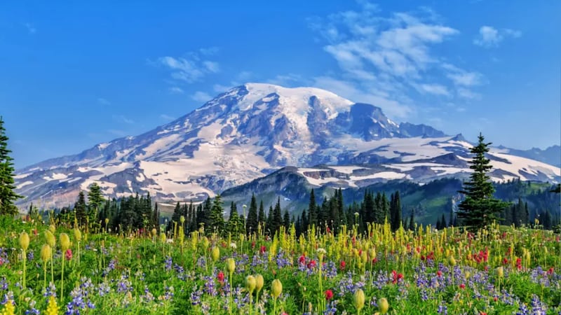 Largest earthquake yet hits mount rainier amid ongoing swarm Largest earthquake yet hits mount rainier amid ongoing swarm