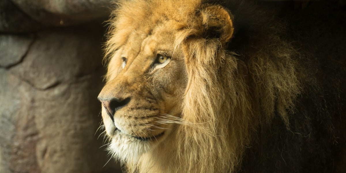 F2U4AUJ5WJAQFIQUC5YTHP3NDQ.jpg?auth=7a02