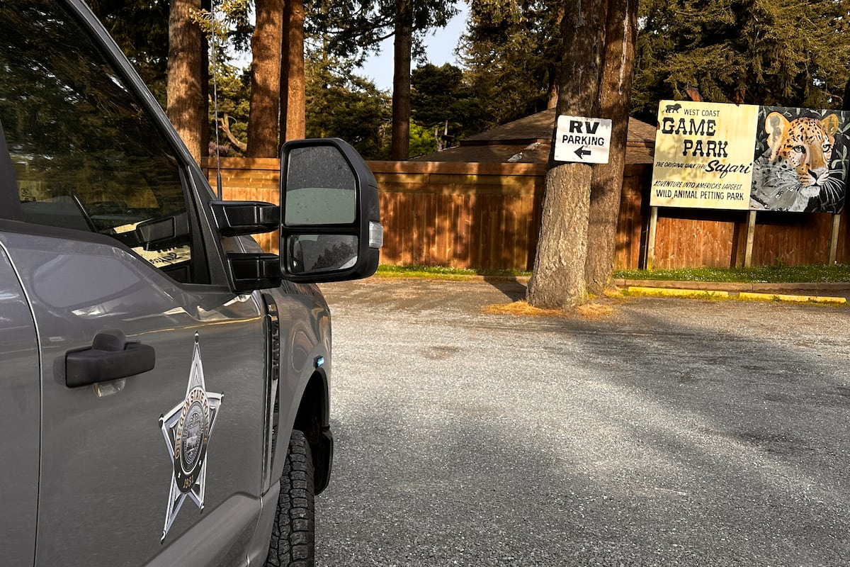 Largest earthquake yet hits mount rainier amid ongoing swarm Largest earthquake yet hits mount rainier amid ongoing swarm