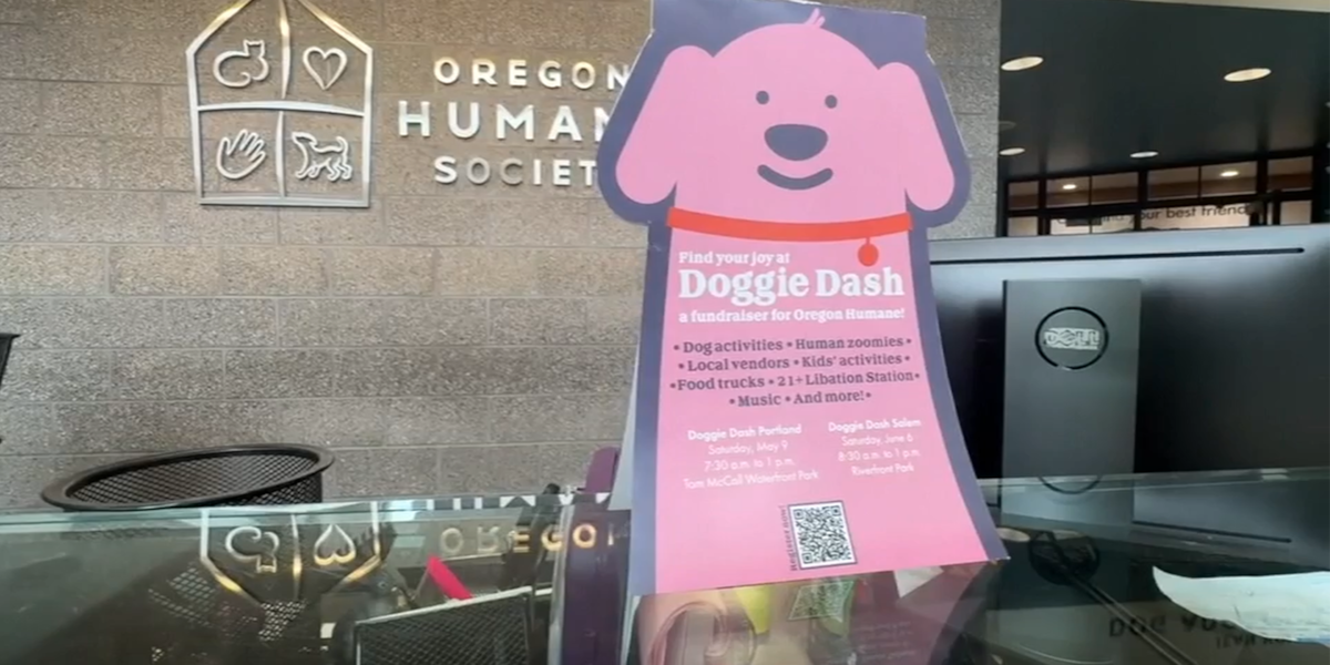 FOX 12 partners with Oregon Humane for annual Doggie Dash fundraiser