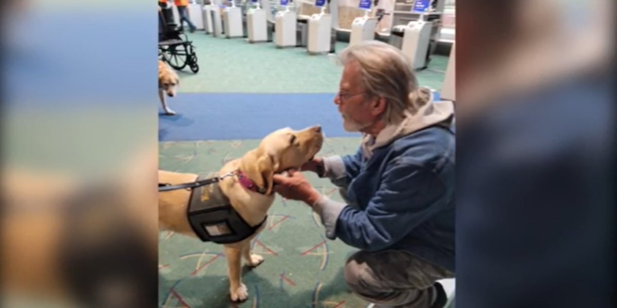 AP poll finds dip in air travel confidence, Portland therapist offers tips to manage flight anxiety AP poll finds dip in air travel confidence, Portland therapist offers tips to manage flight anxiety