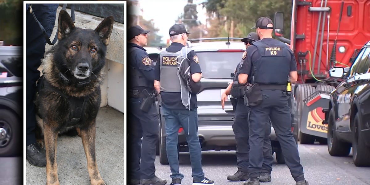 Photo: KPTV Wanted Gresham homicide suspect dead after police shooting in Portland; police K-9 killed