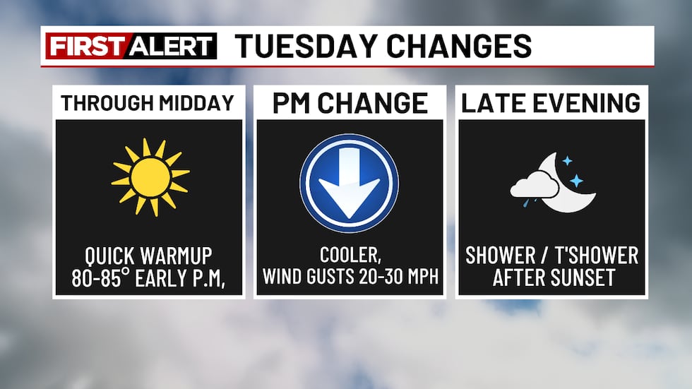 Tuesday Timeline