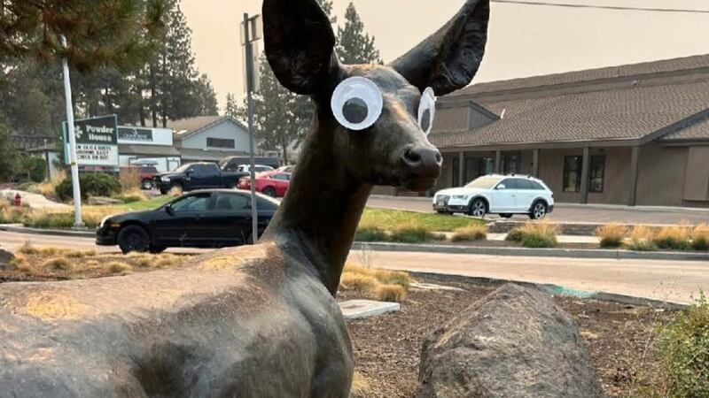 This image provided by the City of Bend, Oregon, shows a a set of googly eyes placed on a...