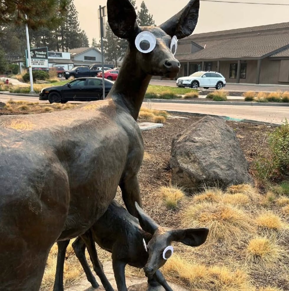 Googly Eye Object Someone is putting googly eyes on public art in this city, sparking ...
