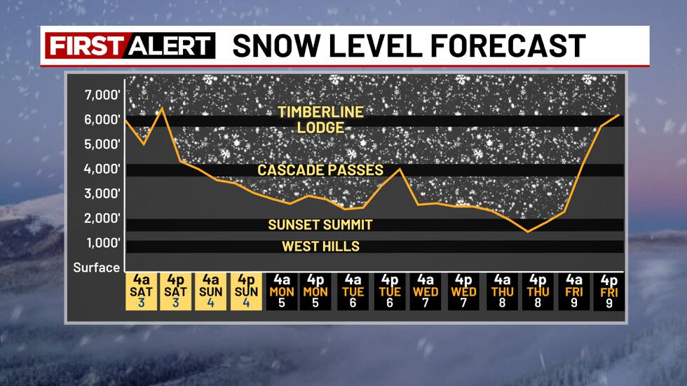 Snow Check Level Mild, Wet, and Manageable