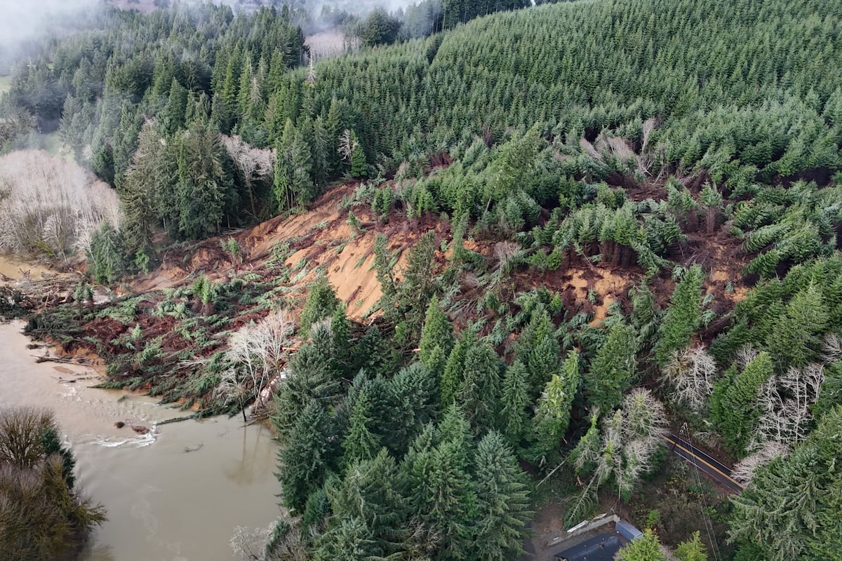 preloaded gallery image