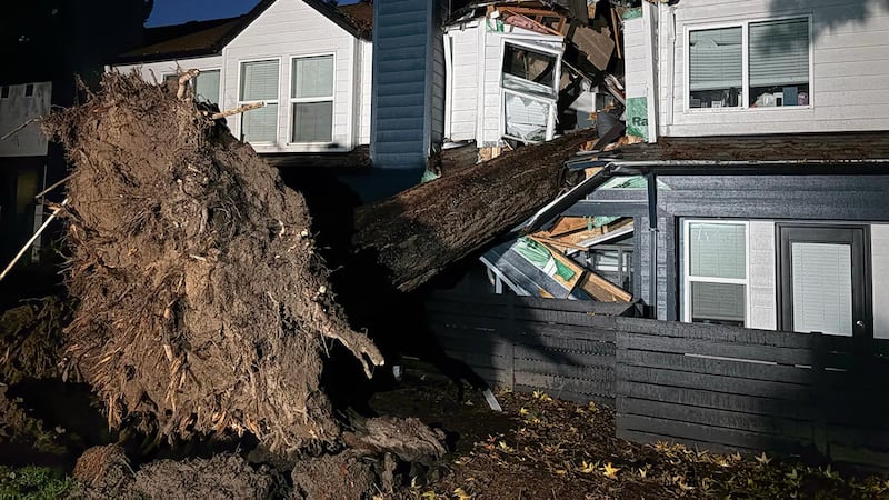 Tree on home off SW Tualatin Road in Tualatin