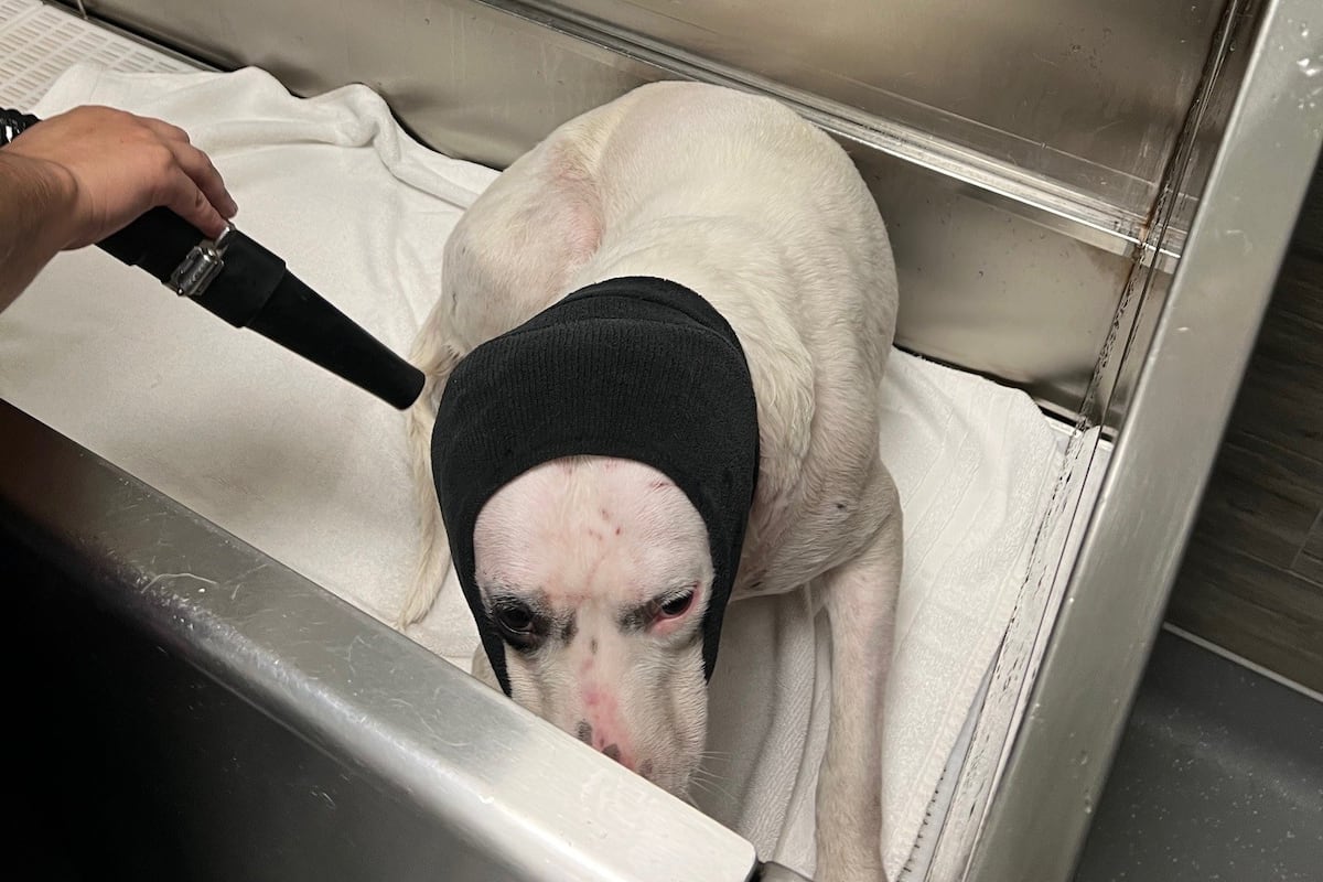 preloaded gallery image