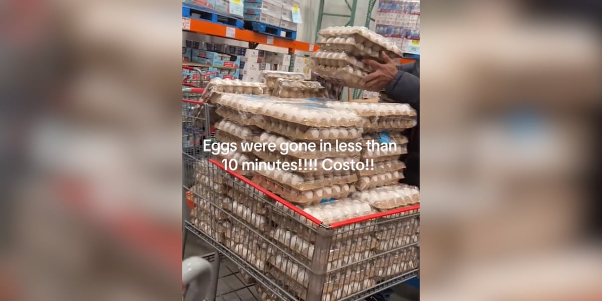 Costco Shoppers Panic-buying Eggs Due To Nationwide Shortage: Price, Costs & What To Expect