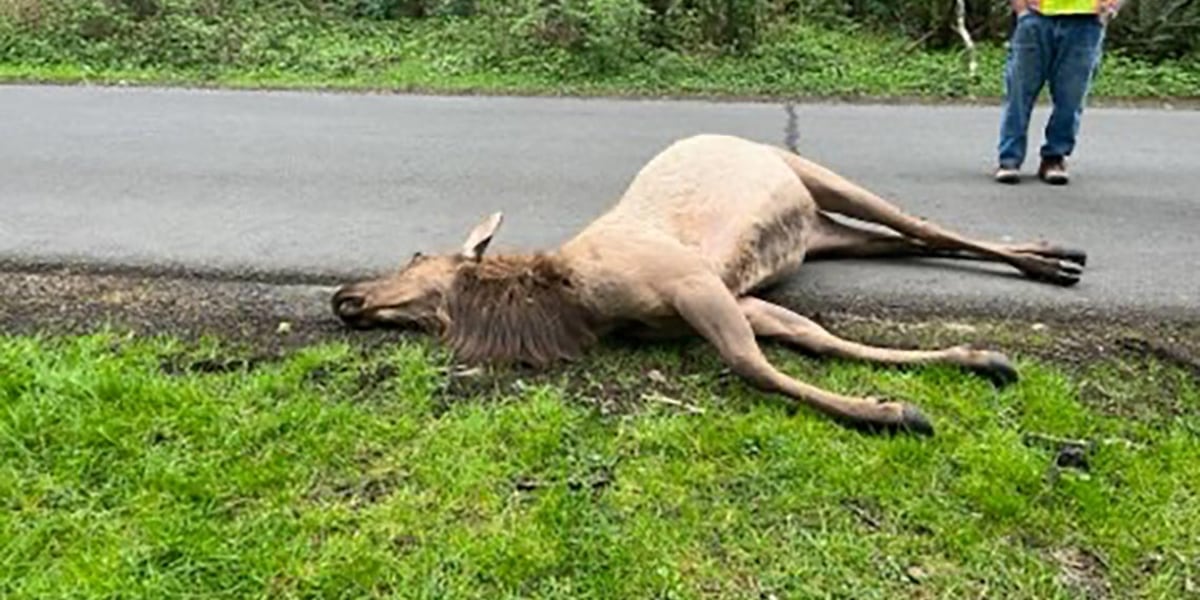 OK577IAG5RFT7BCXRWBEUN4ODE.jpg?auth=0a94