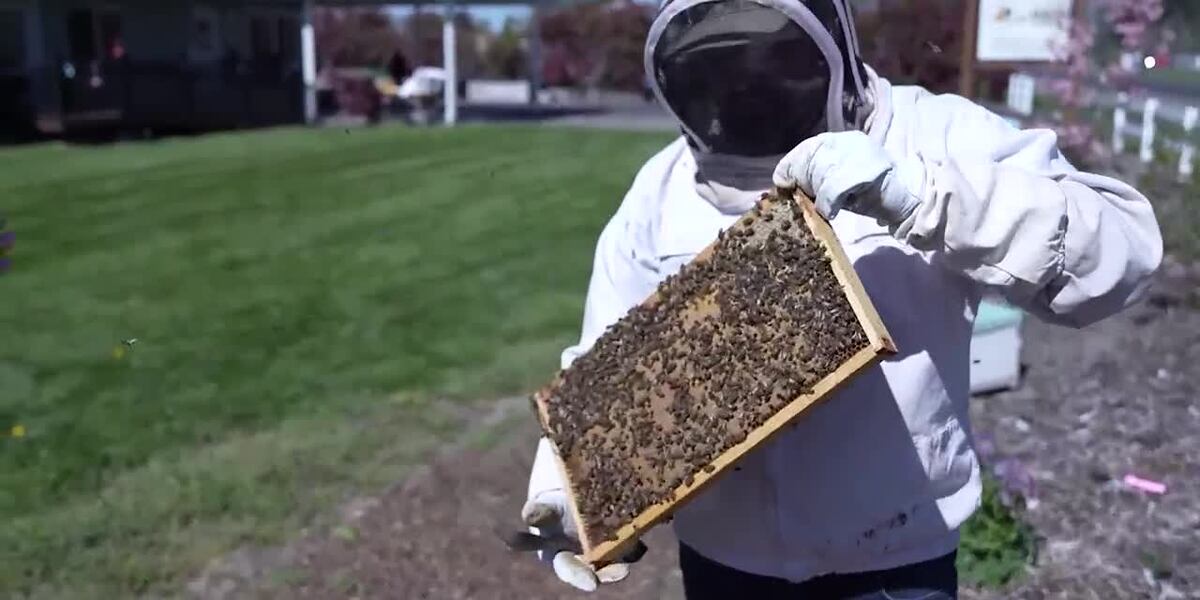 Satiate the travel bug with a trip to Salem sweet spot Flying Bee Ranch