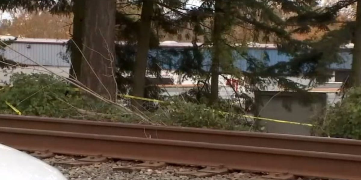 Mom of teen who died while planting trees files 29M suit against