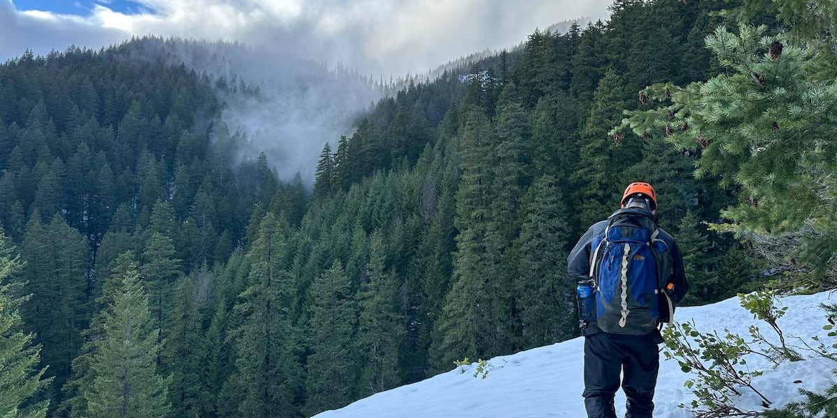 2 found dead in Skamania Co while searching for Sasquatch Fox 12 Oregon 2 found dead in Skamania Co while searching for Sasquatch Fox 12 Oregon