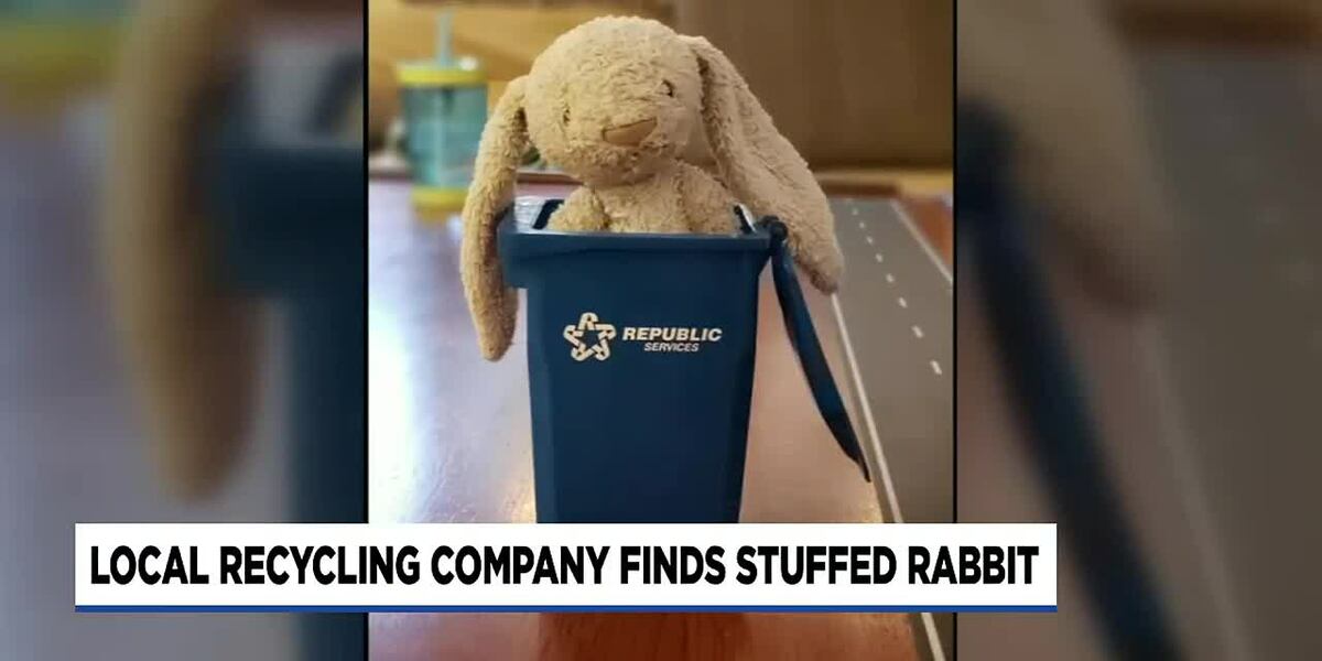 Rabbie the stuffed rabbit makes it back home after an adventure to the ...