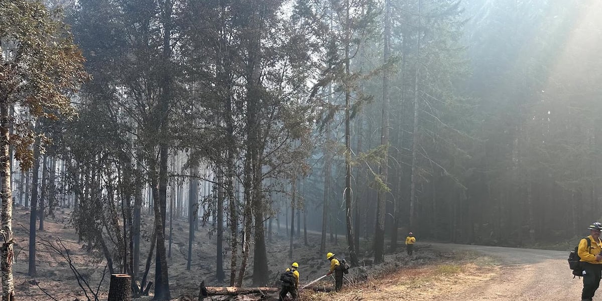 Coverage image for: Wildfire updates: Austin Fire determined to be human-caused
