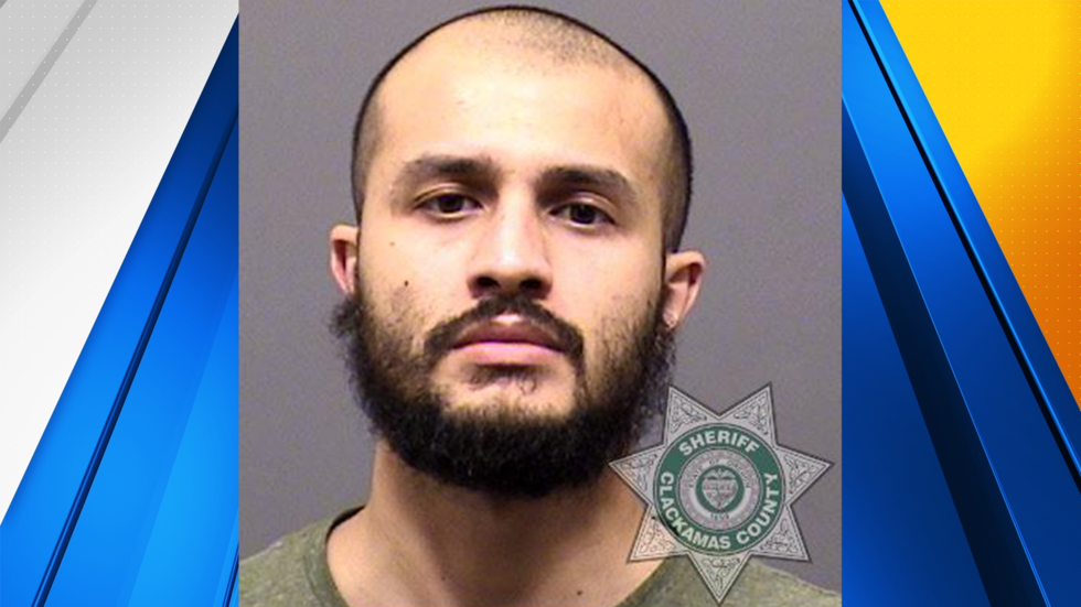 Wilsonville man sentenced for shooting ex-partner during child custody ...