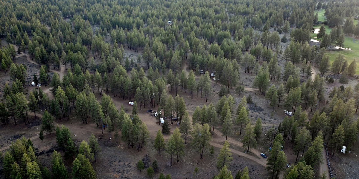 The U.S. Forest Service is set to remove homeless individuals from an encampment in the Deschutes National Forest in central Oregon, sparking legal and humanitarian concerns.