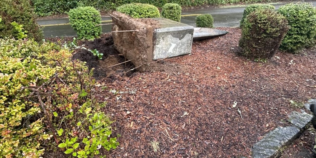 VOI7IV6AF5F67AIZ752L6UW3IQ.jpg?auth=ffce