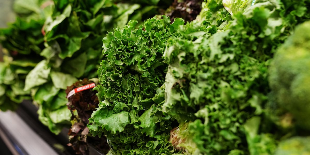 Farm linked to ‘diarrhea lettuce’ cyclosporiasis outbreak hadn’t been inspected in 7 years, report says - KPTV