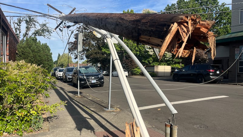 Businesses in downtown Beaverton were told to shelter in place on Friday afternoon after...