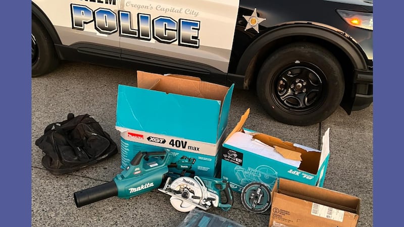 Stolen property recovered by officers