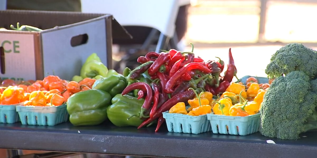 Rosewood Initiative builds 'food forest' to address child hunger in Portland