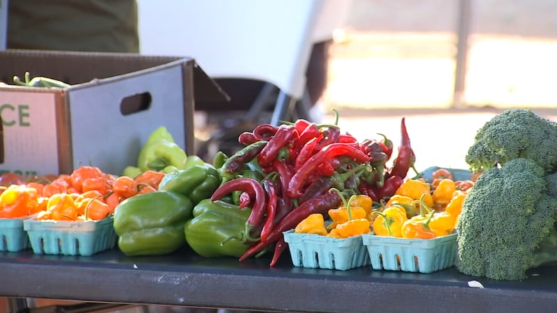Rosewood Initiative builds ‘food forest’ to address child hunger in Portland