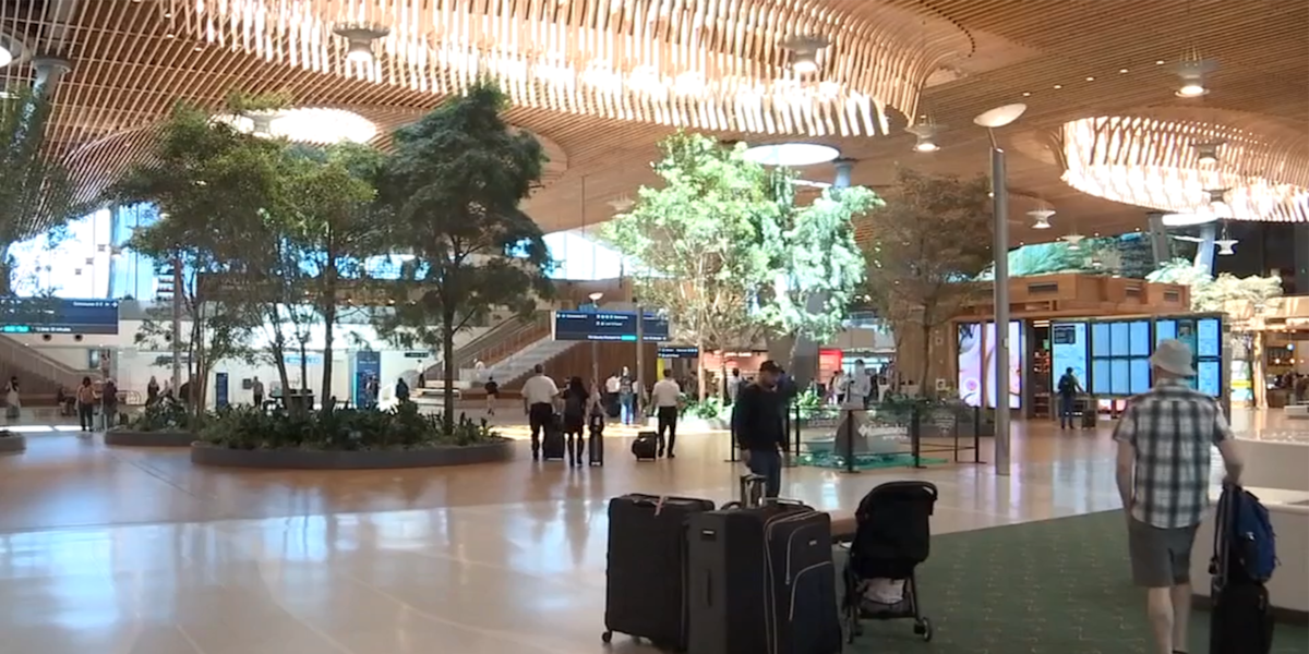 Passenger removed from flight at PDX after TSA finds marijuana in luggage - KPTV