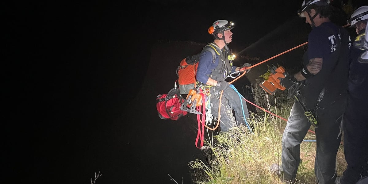 TVF&R crews use climbing gear to rescue baby goat trapped in quarry