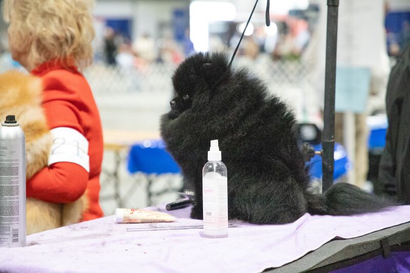 Largest earthquake yet hits mount rainier amid ongoing swarm Largest earthquake yet hits mount rainier amid ongoing swarm