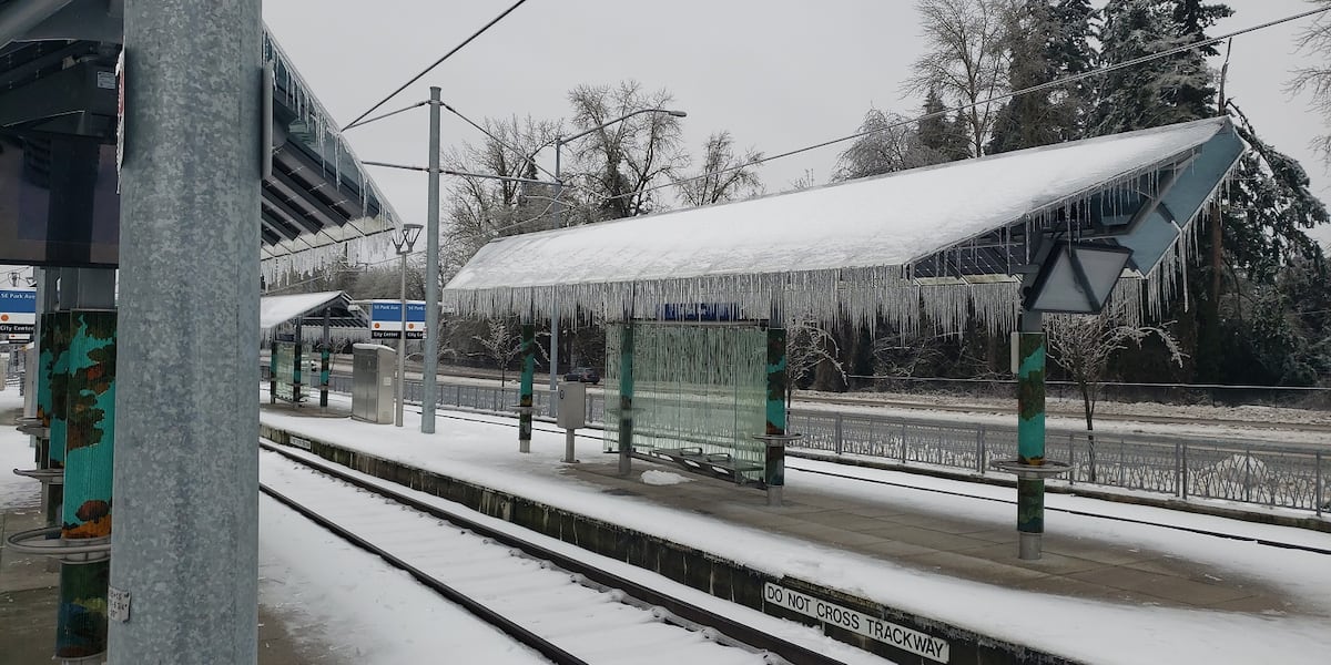 TriMet says MAX lines facing significant delays, bus routes canceled as ...