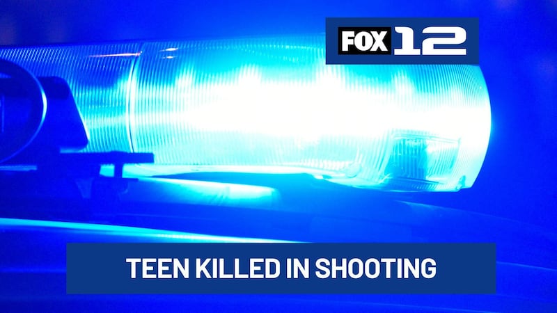 A 19-year-old man was killed and two other people were hurt in a shooting early Monday in...