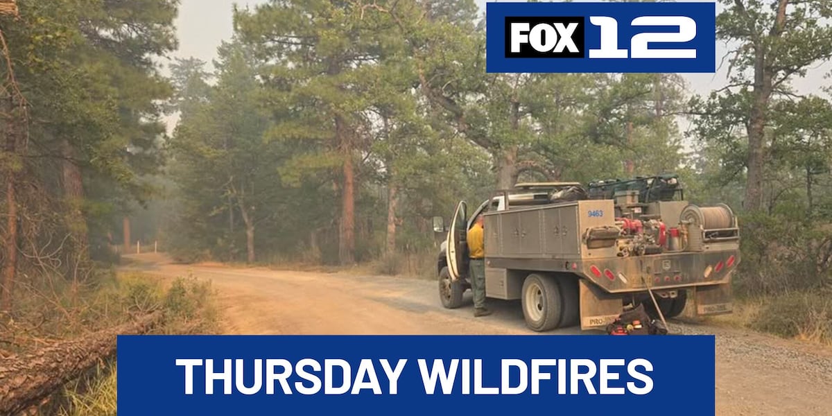 Coverage image for: Oregon wildfire updates (7/30): Officially worst wildfire season for OR & WA in 20+ years