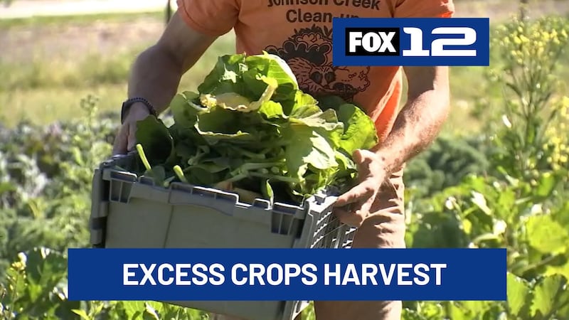 Zenger Farms is one of the farms partnering with Urban Gleaners, inviting volunteers to...