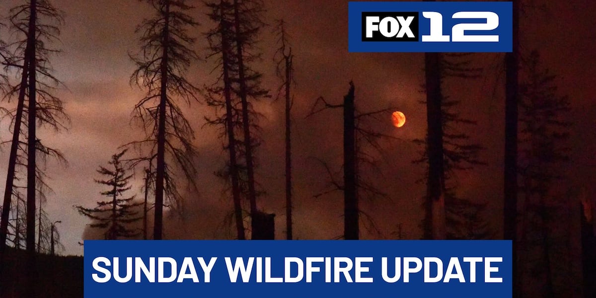 Coverage image for: Sunday wildfire update: Austin Fire in Mt. Hood Forest & Oregon vet dies in OK wildfire